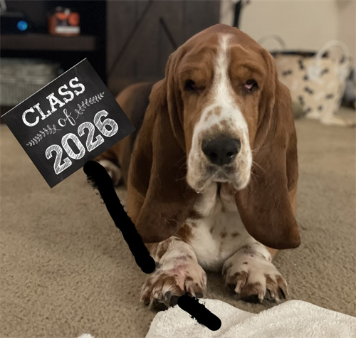 Dog holding class of 2026 sign
