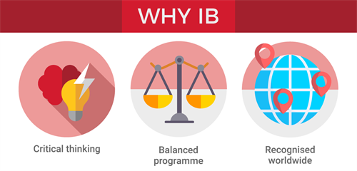 Why IB graphic